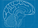 Neurobiologie Neurobiologie